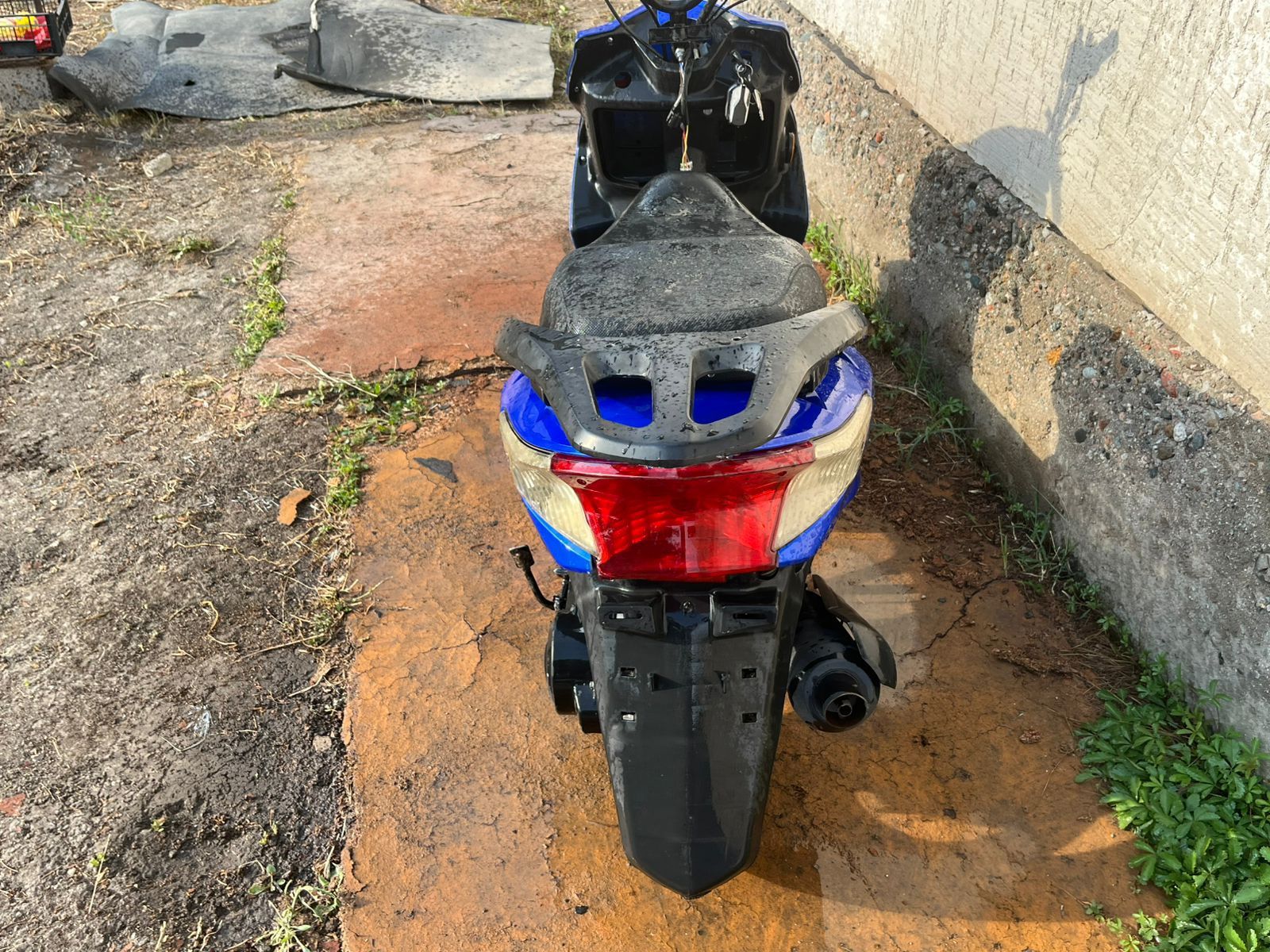 Продам мопед М10