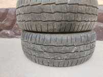 Шины Мишлен (Michelin) зимняя липучка