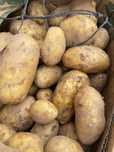 Продам картофель оптом