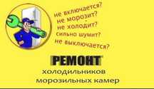 Ремонт холодильников НА ДОМУ