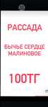 Рассада бычье сердце