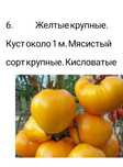 Продам рассаду помидор