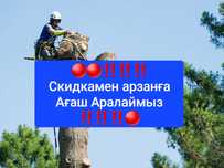 Пилим деревья Бесплатно