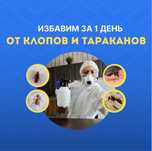 Дезинсекция - избавим от клопов и тараканов за 1 день