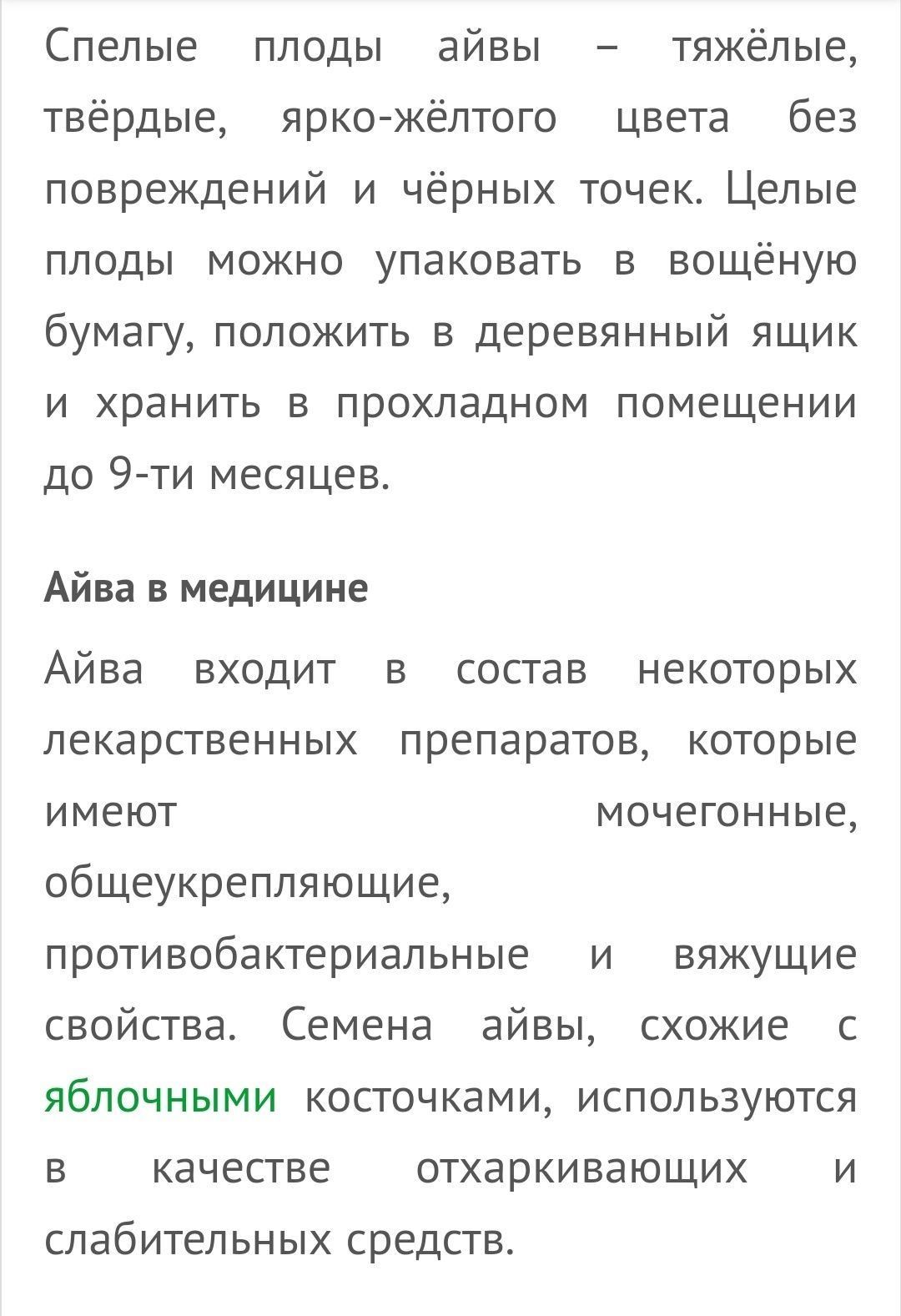 Айва домашняя, вкусная, полезная. Без химии. Выращиваем для себя.