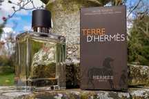 Мужские духи HERMES Terre d'Hermes 75 мл