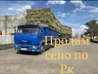 Продам сено  в  тюках