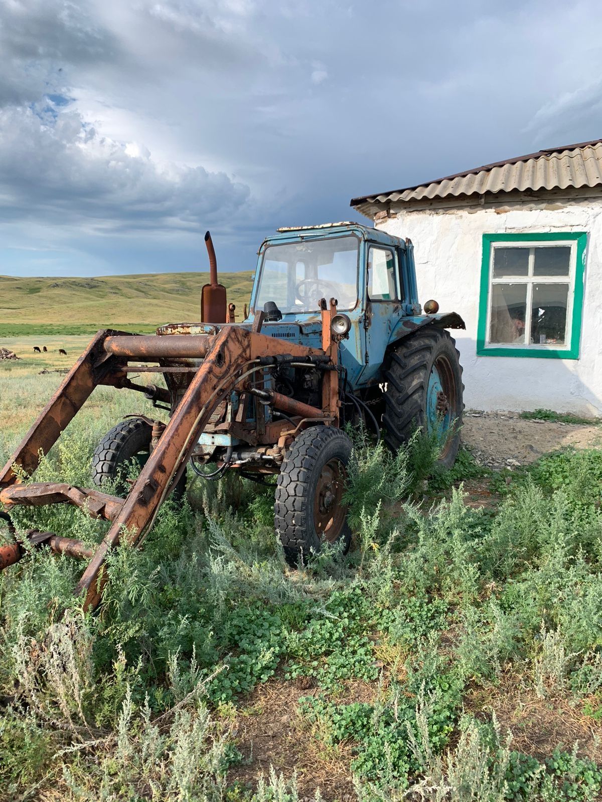 Шаруа қожалық жалға беріледі