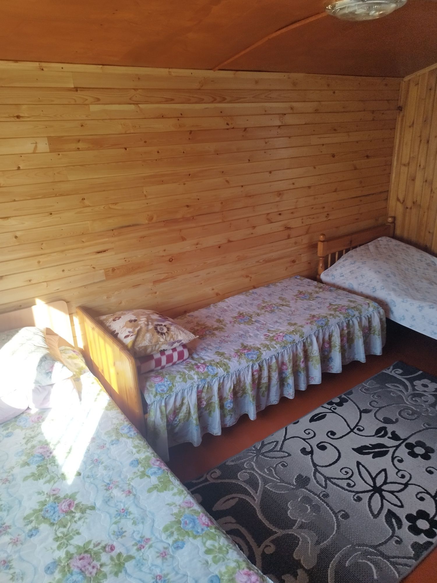 Летние домики в Боровом.