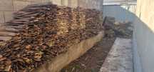 Продам дрова для бани и прочих