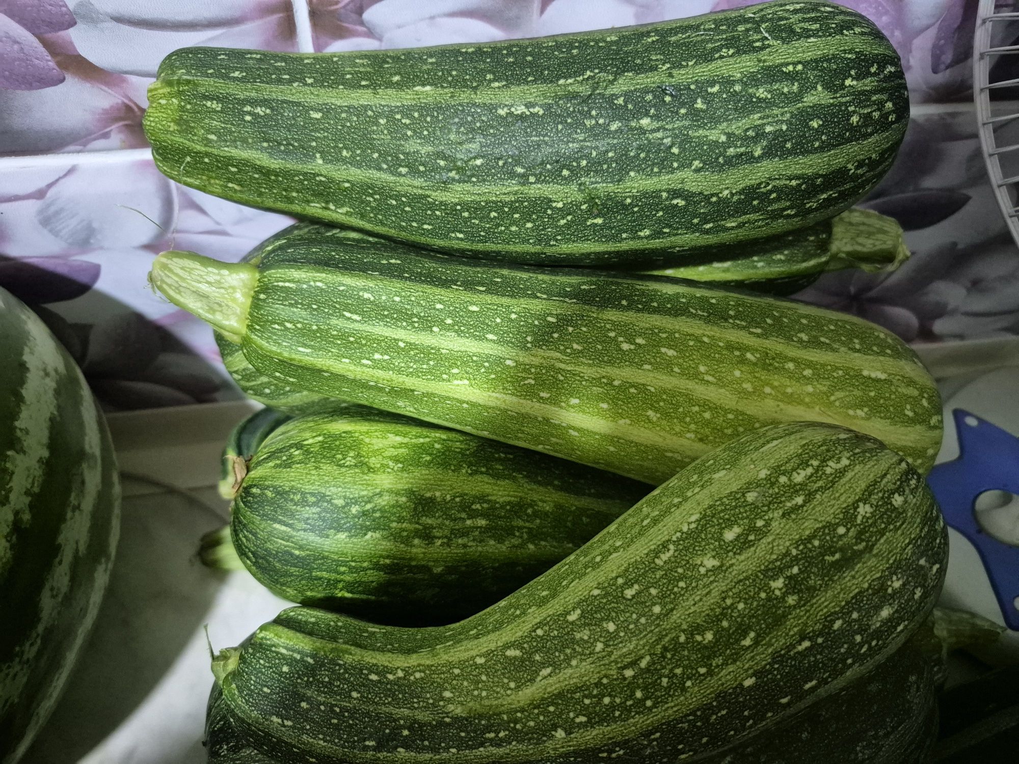 Продам молоденькие кабачки