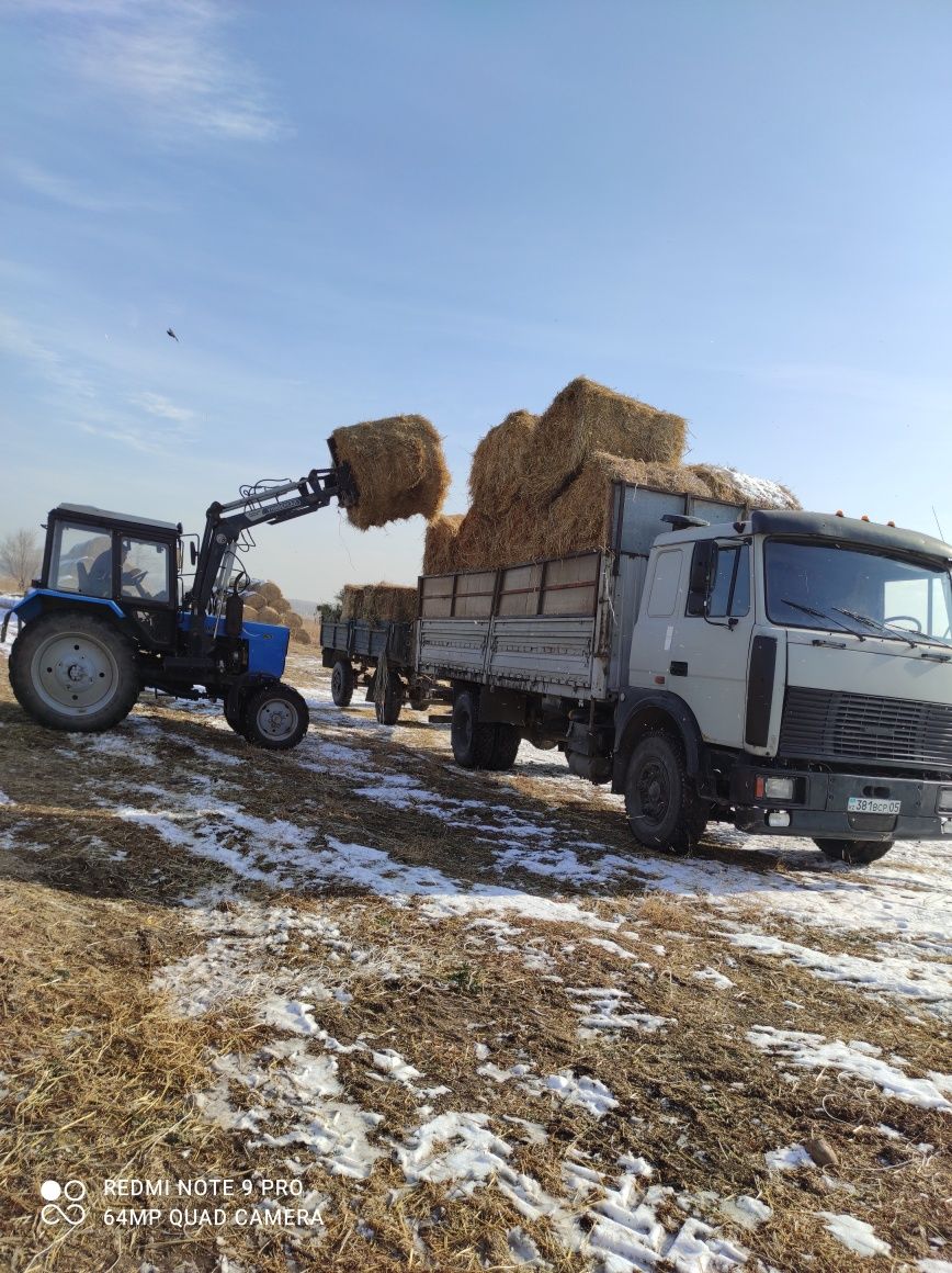 Продам сено люцерна,  салома