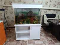 Продам аквариум с тумбой