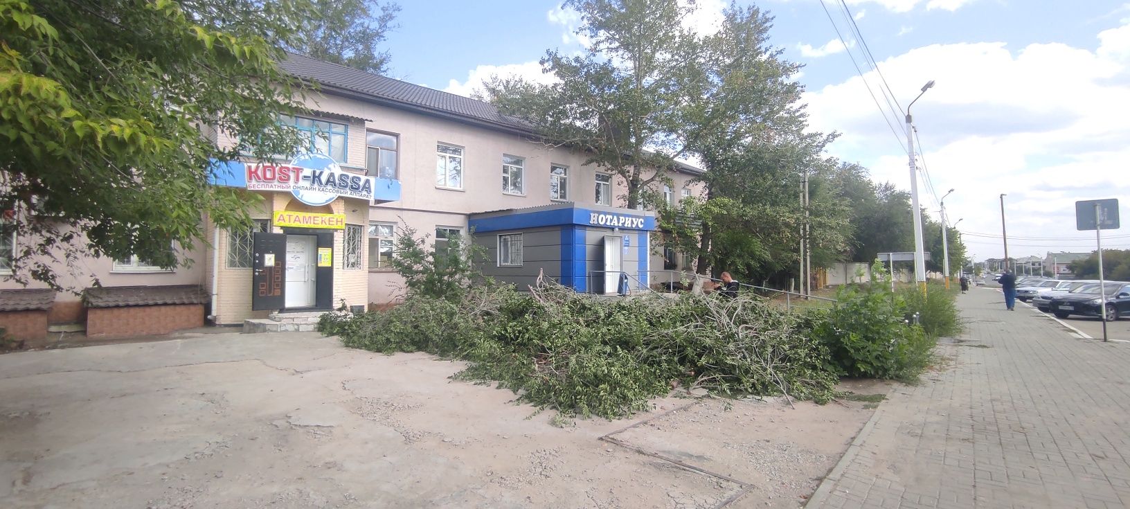 Обрезка, спил, дерева корчевание, кронирование, бензопила, инструменты