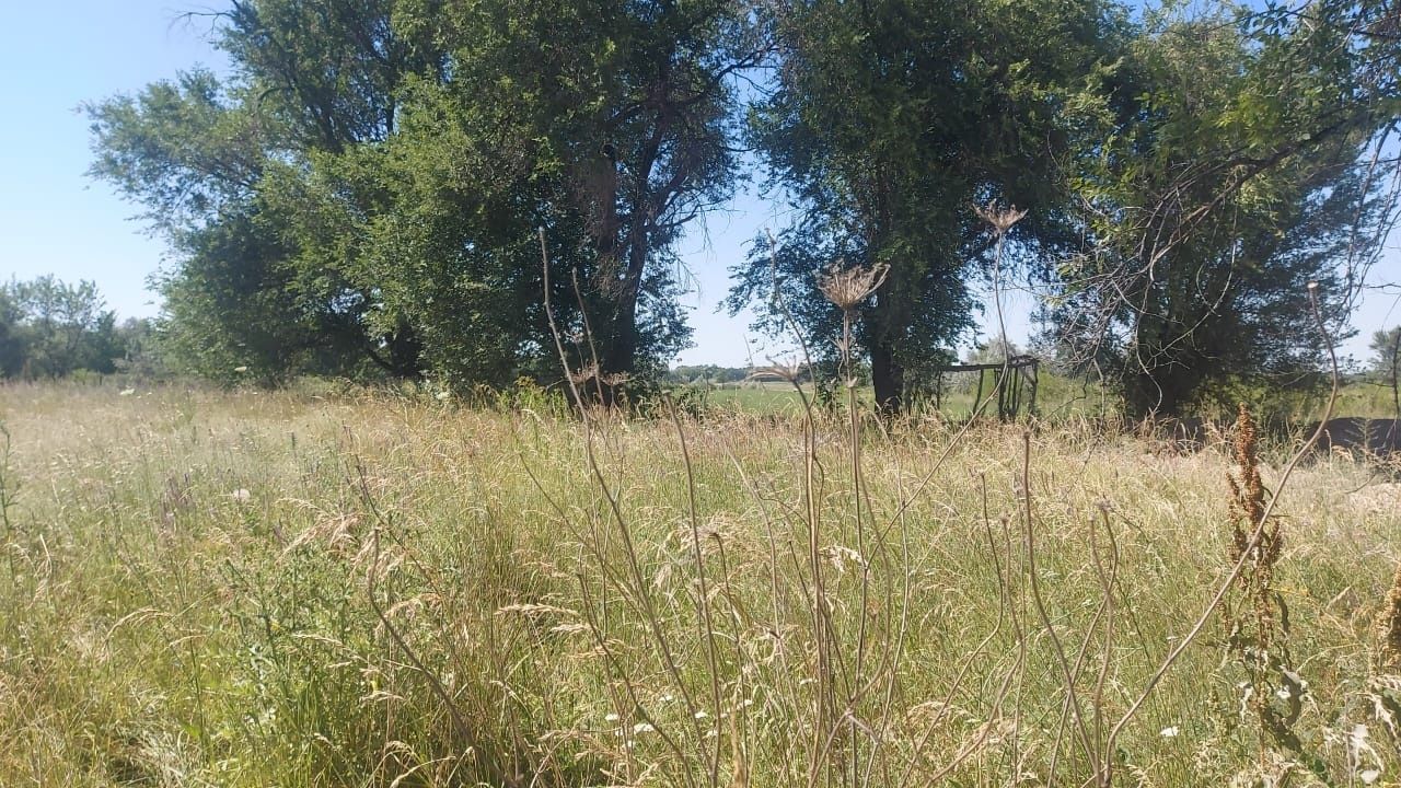 Продам озеро и кашар