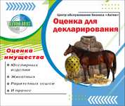 Оценка имущества, украшений, картин и предметов для декларирования