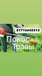 Покос травы, шөп орамыз