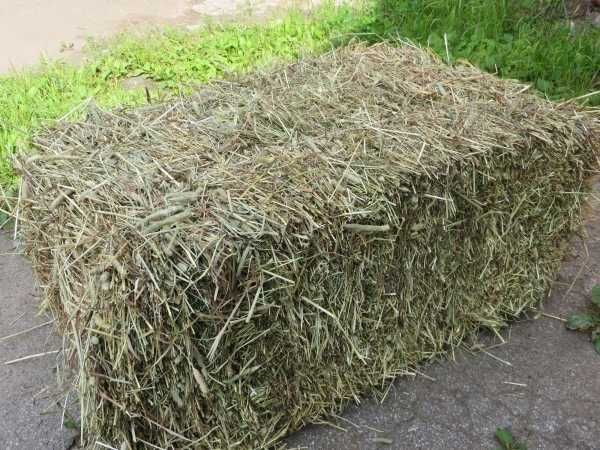 Продам сено в тюках разнотравие