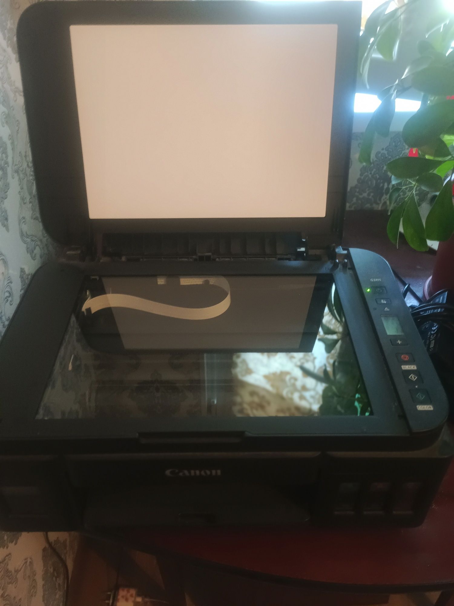 Принтер Canon 2411