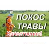 Покос травы (бурьян, сухостой, камыш и т.д.) на Вашем участке