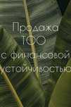 Продаются ТОО с фин устойчивостью. Разные ТОО!
