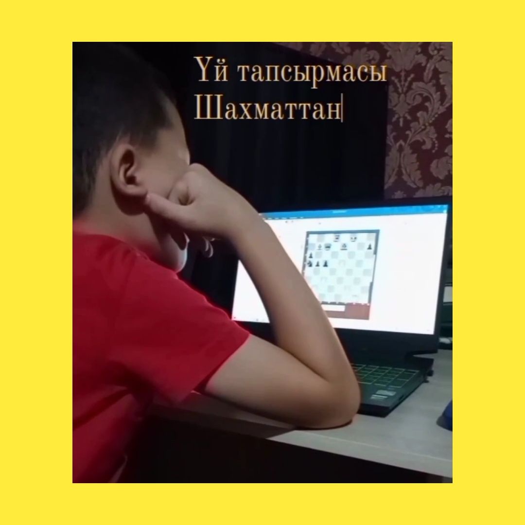 Тренер по шахматам, курсы, шахматы для детей