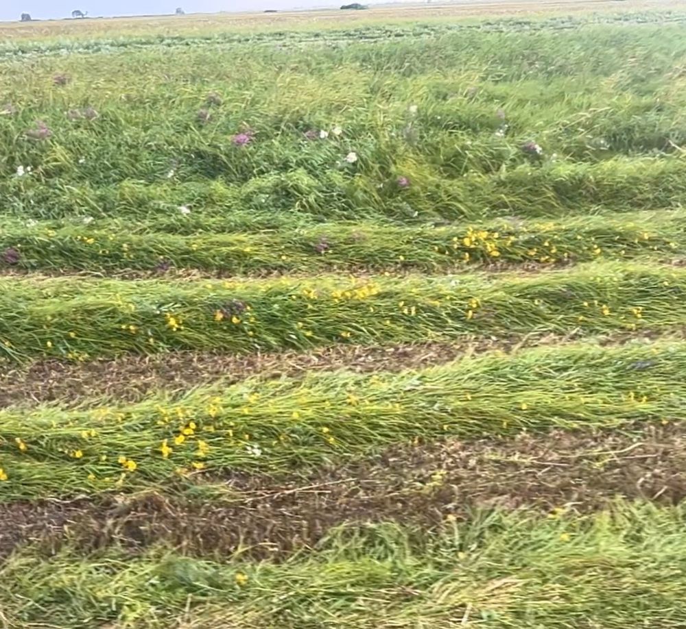 Сено отличного качества