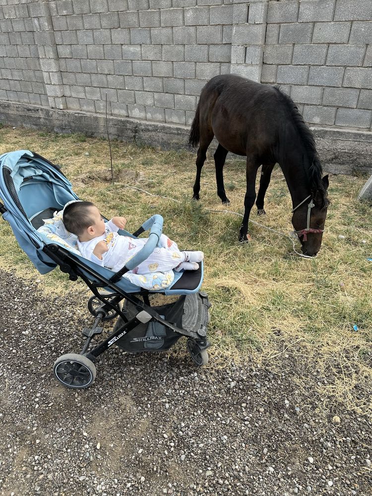 Ходунок , ванна, коляска , отырғызып үйрететін