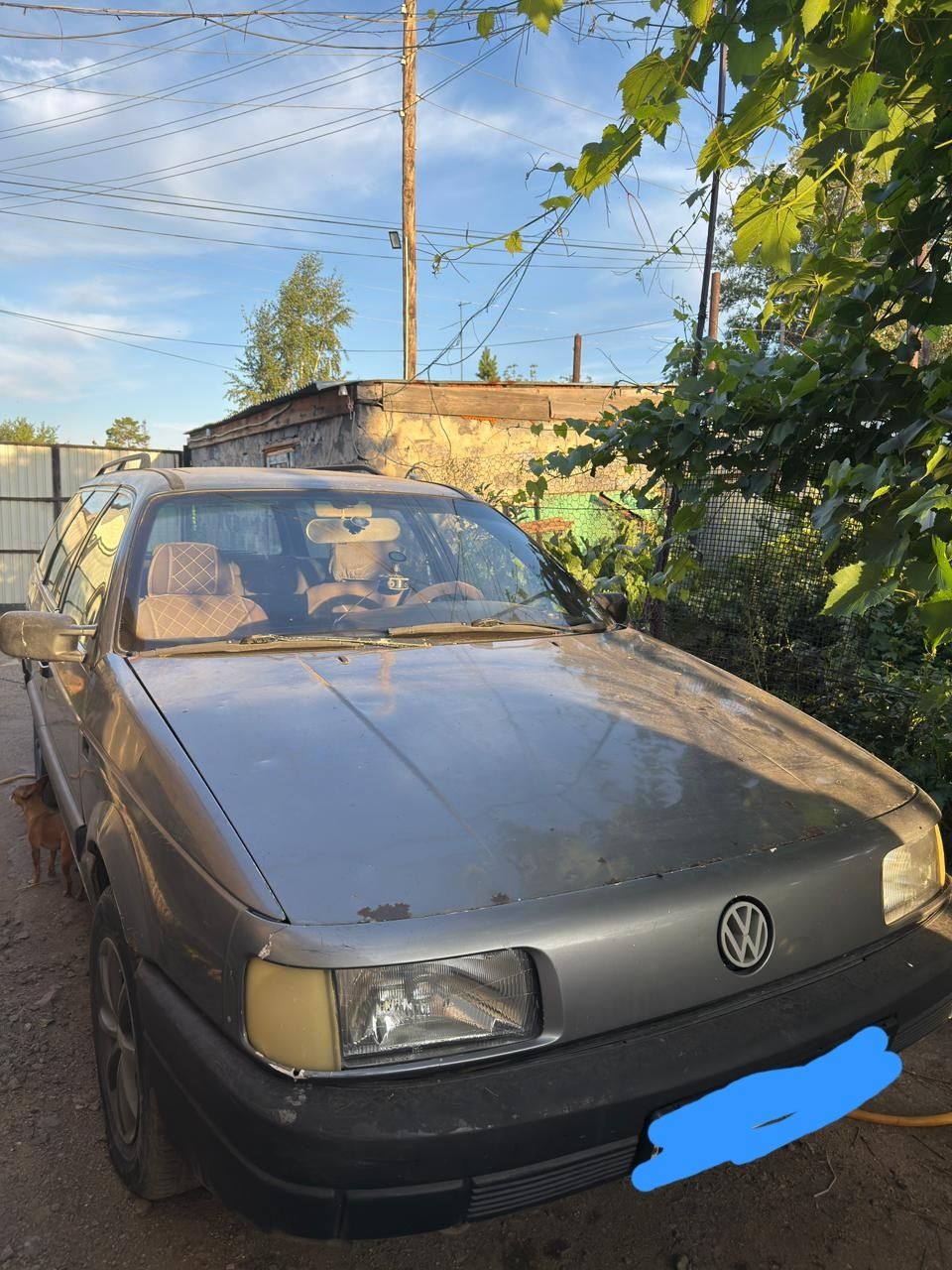 Volkswagen  универсал