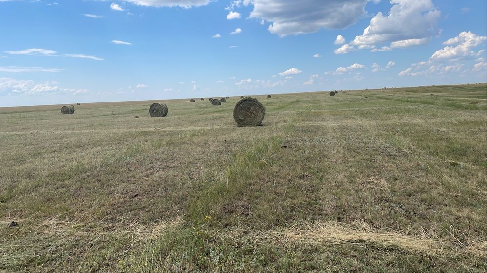 Продам сено рулонное 250кг Актогайский район. Свежее