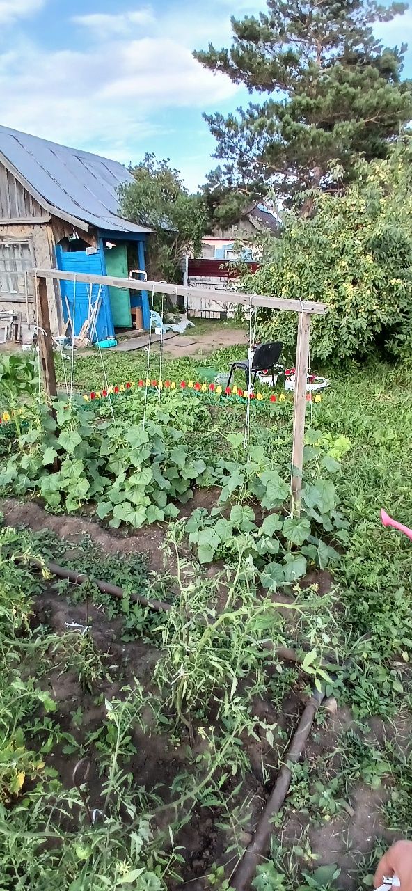 Дача на ромашке 8 км от маикудука. СОРТИРОВКА.