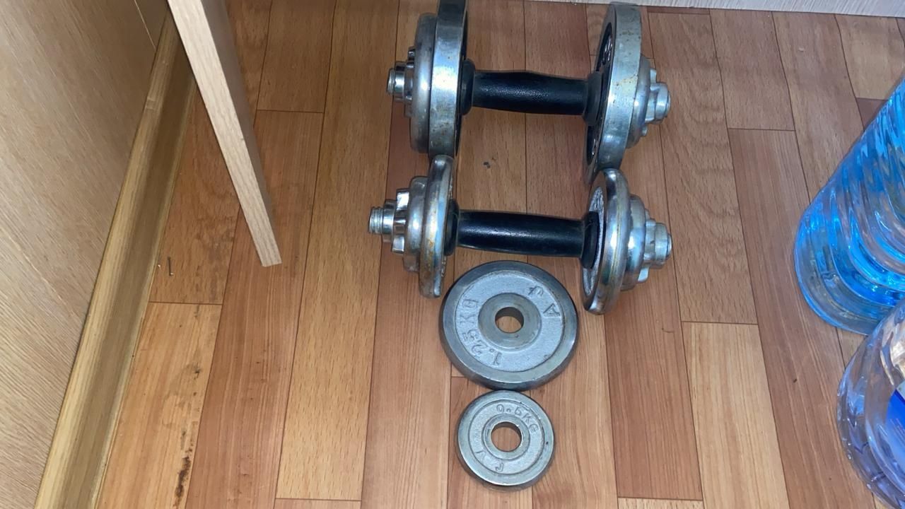 Продам две гантели недорого