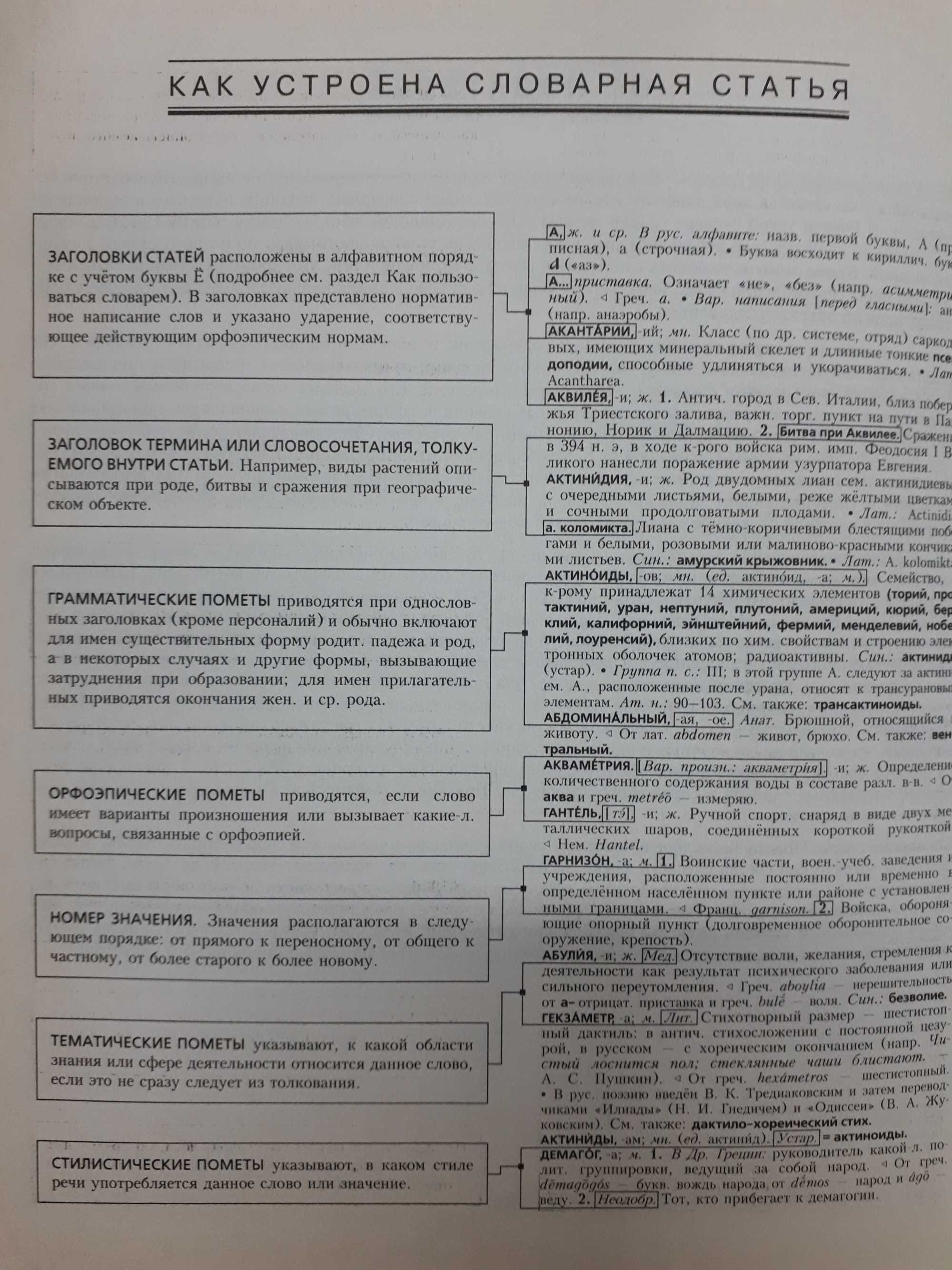 Новый Большой энциклопедический словарь