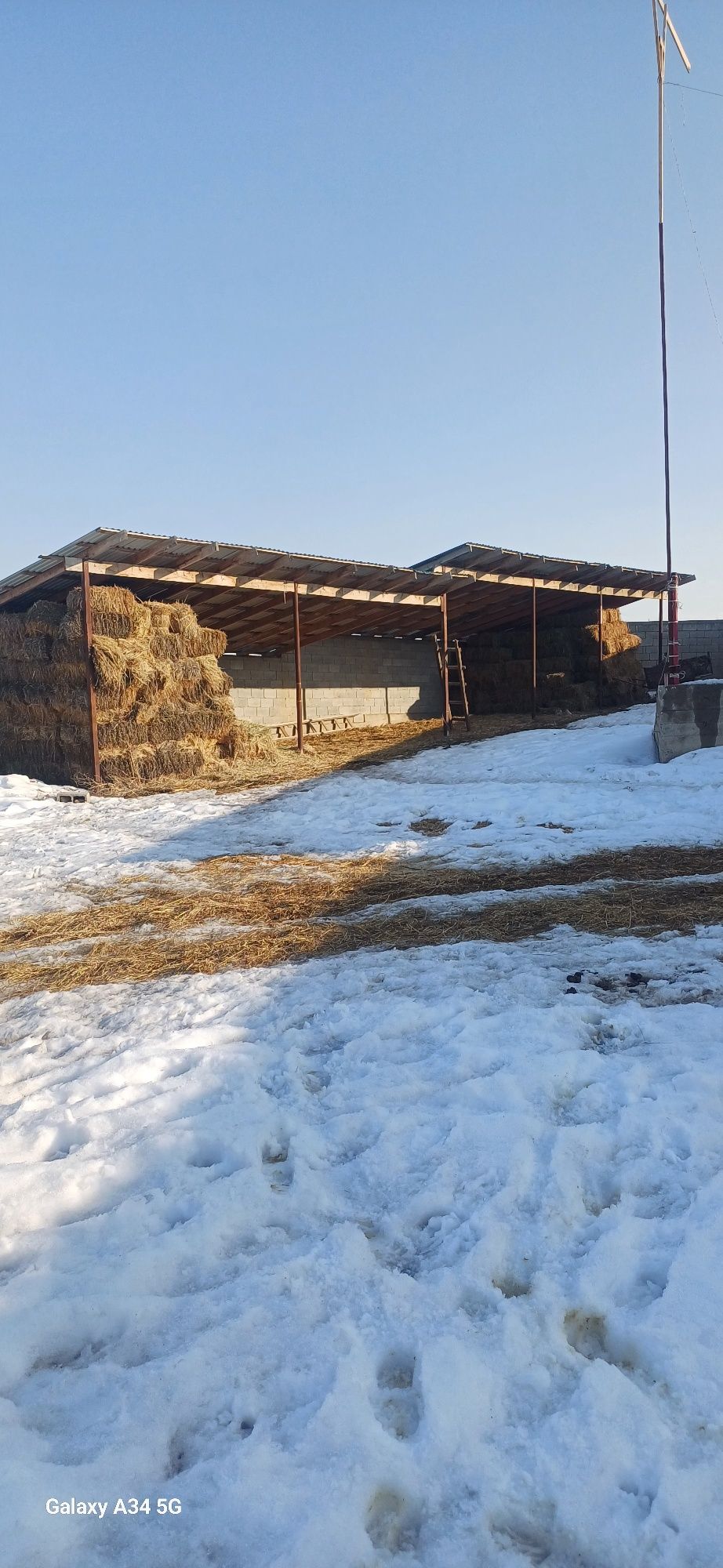 Откорм сатылады   120