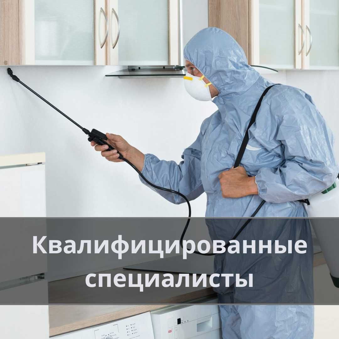 Дезинфекция клопов крыс тараканов муравьев ос Государственная Лицензия
