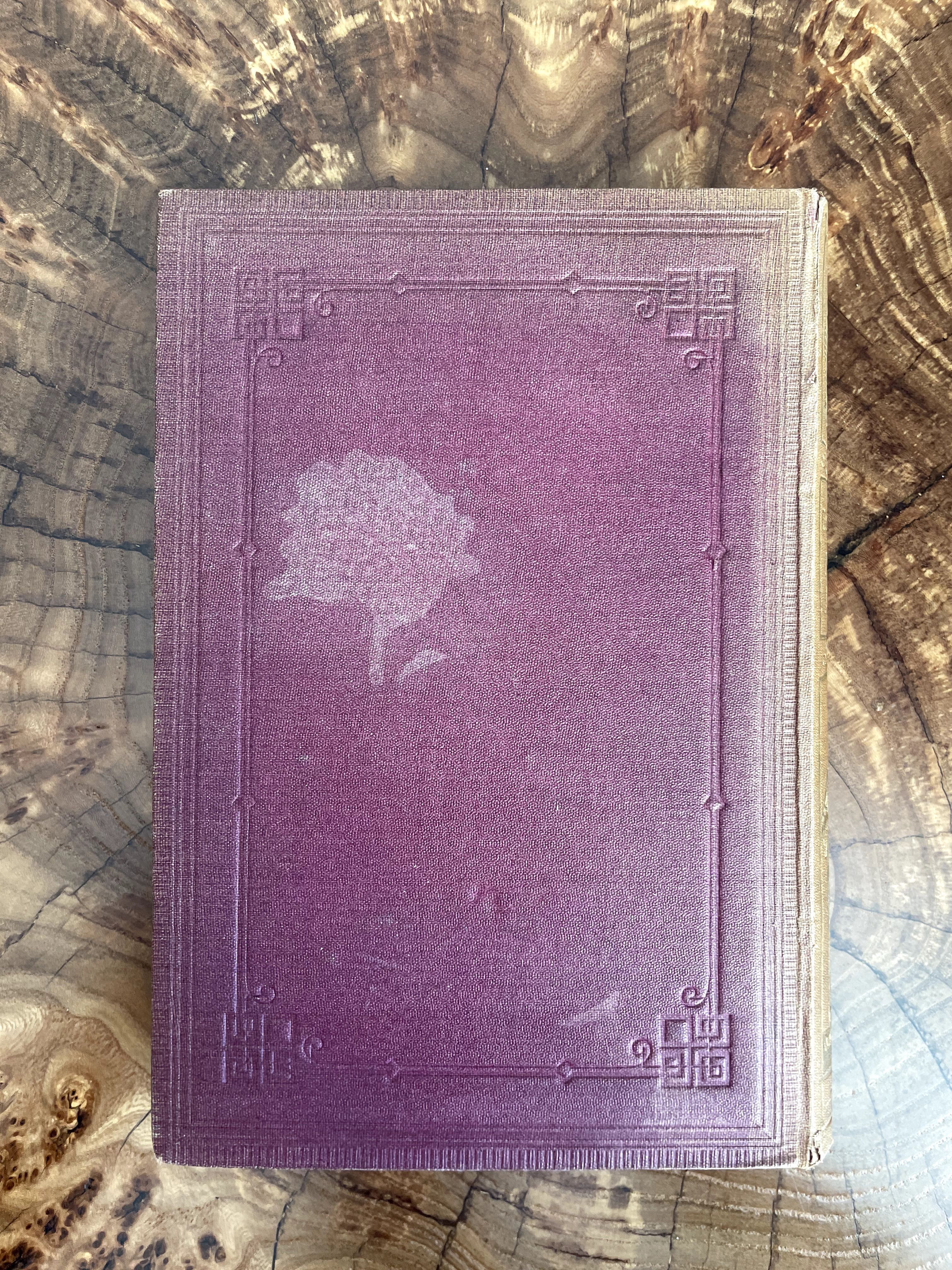 Антикварная книга 1875 года История Казахстана Узбекистана Кыргызстана