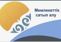 Тендер обучение индивидуально! Сопровождение!