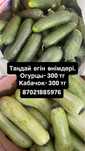 Огурцы, кабачки по 300 тг