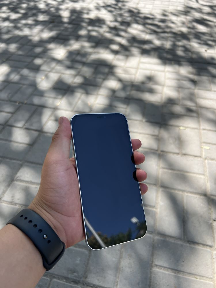 iPhone 12 Pro Max