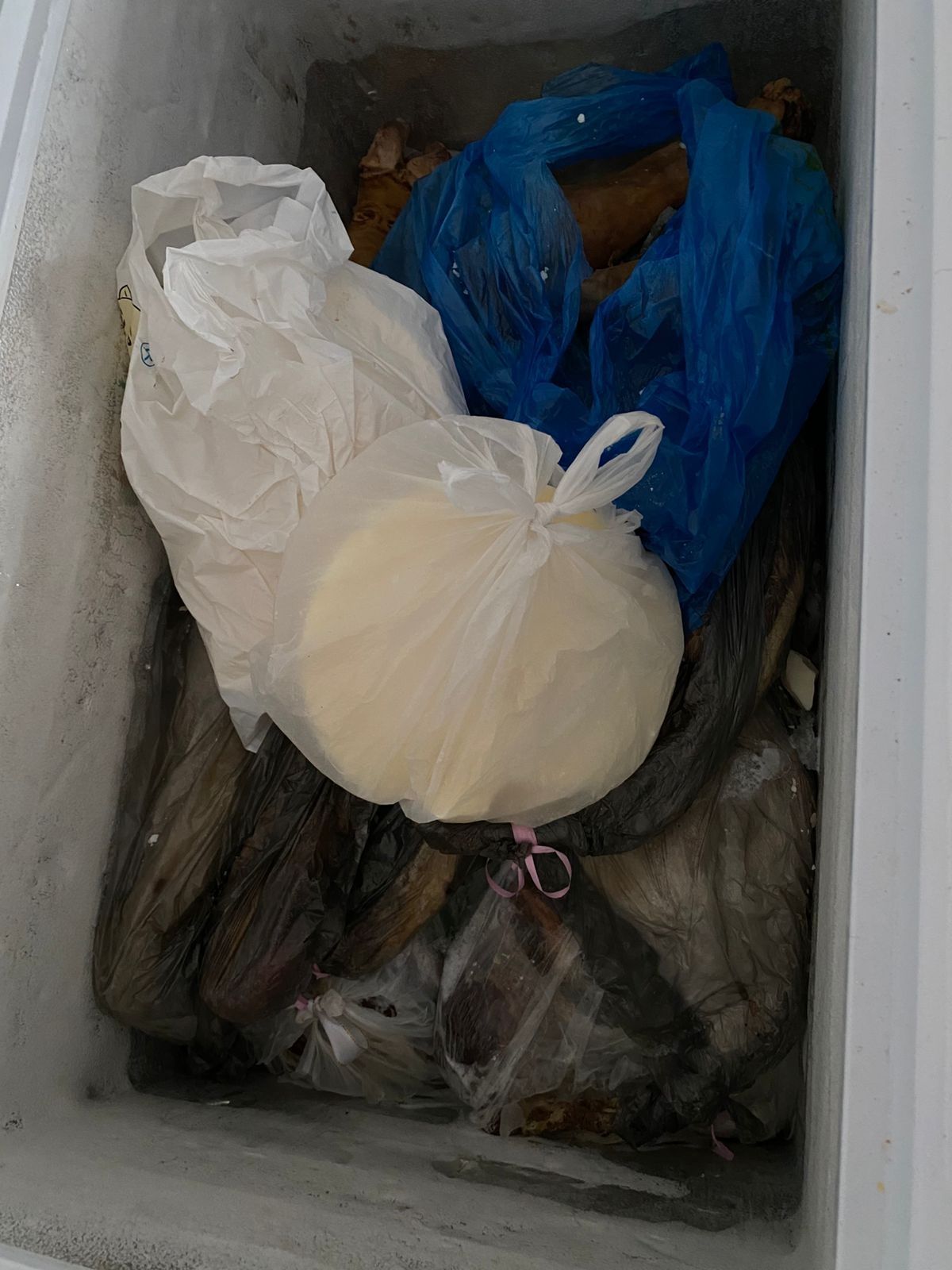 Продам морозильник, вместе с согымом