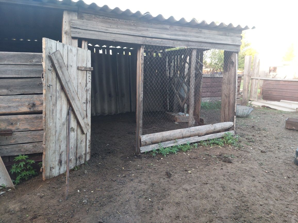 Продам дом п. Новоильиновка