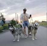 Щеночки породы Аляскинский маламут