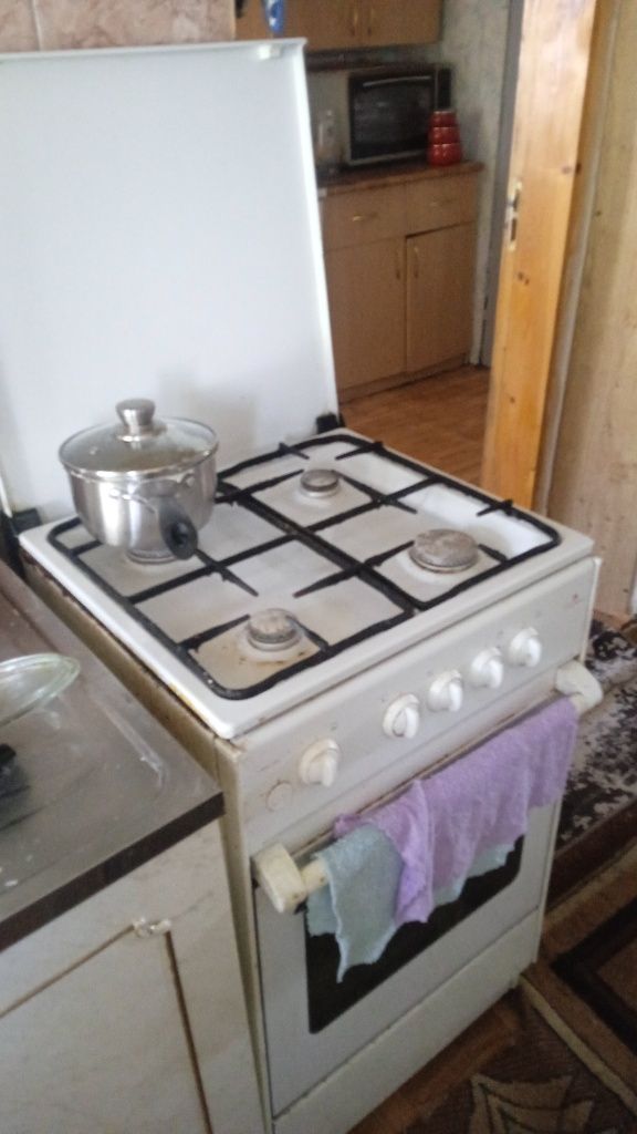 Газовая плита Дарина