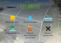 Теплицы из поликарбоната с гарантией 20 лет. Монтаж, доставка. Скидки!