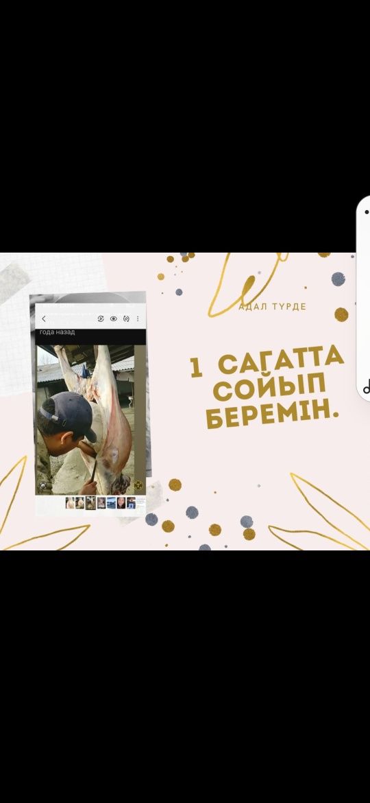 Кой сойып беремиз таза укыпты тез адал