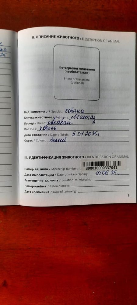 Продам собаку Алабай
