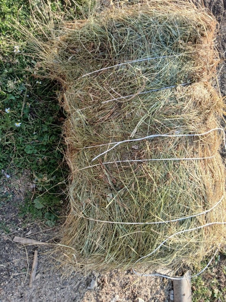 Продам шоп сено продам