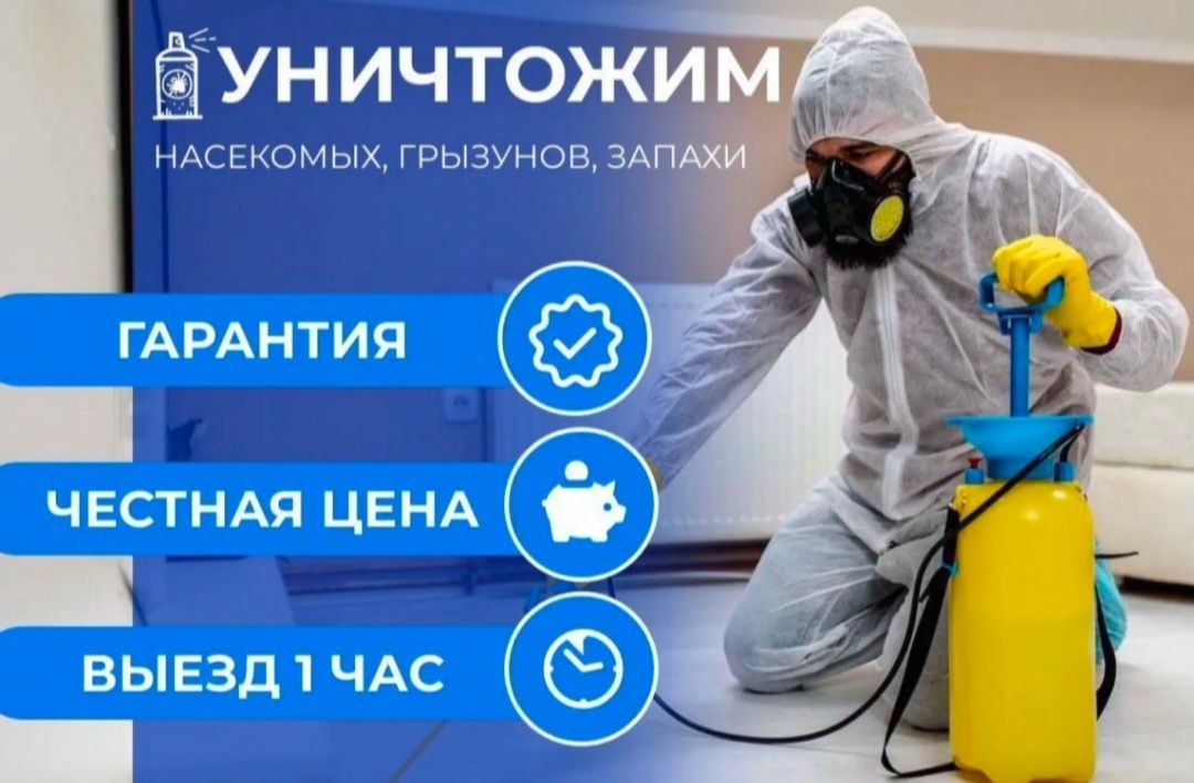 Дезинфекция/СЭС/Гарантия результата/ Профессиональное уничтожение