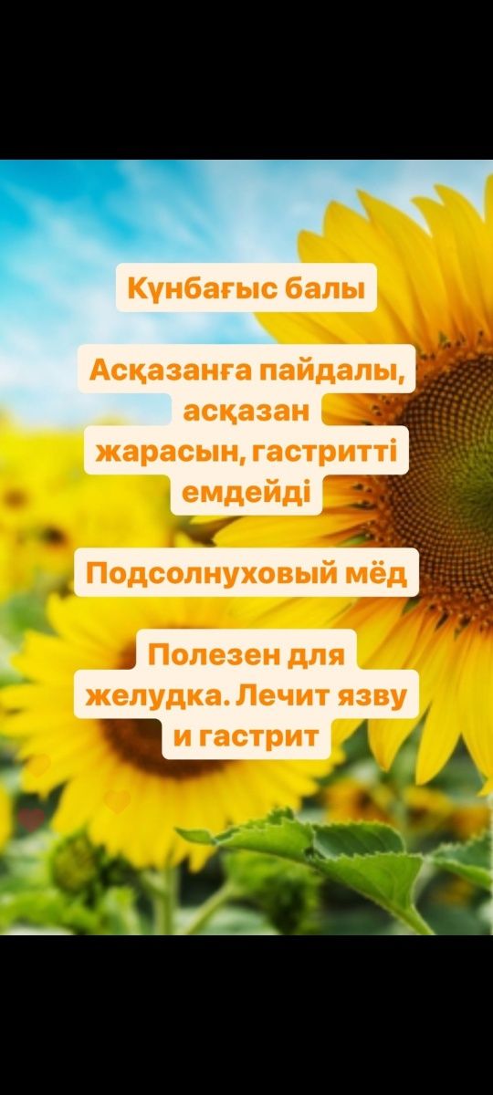 100% табиғи, ешқандай қоспасыз, Бал Исмаилдан!
 Артықшылықтары

Қарақұ