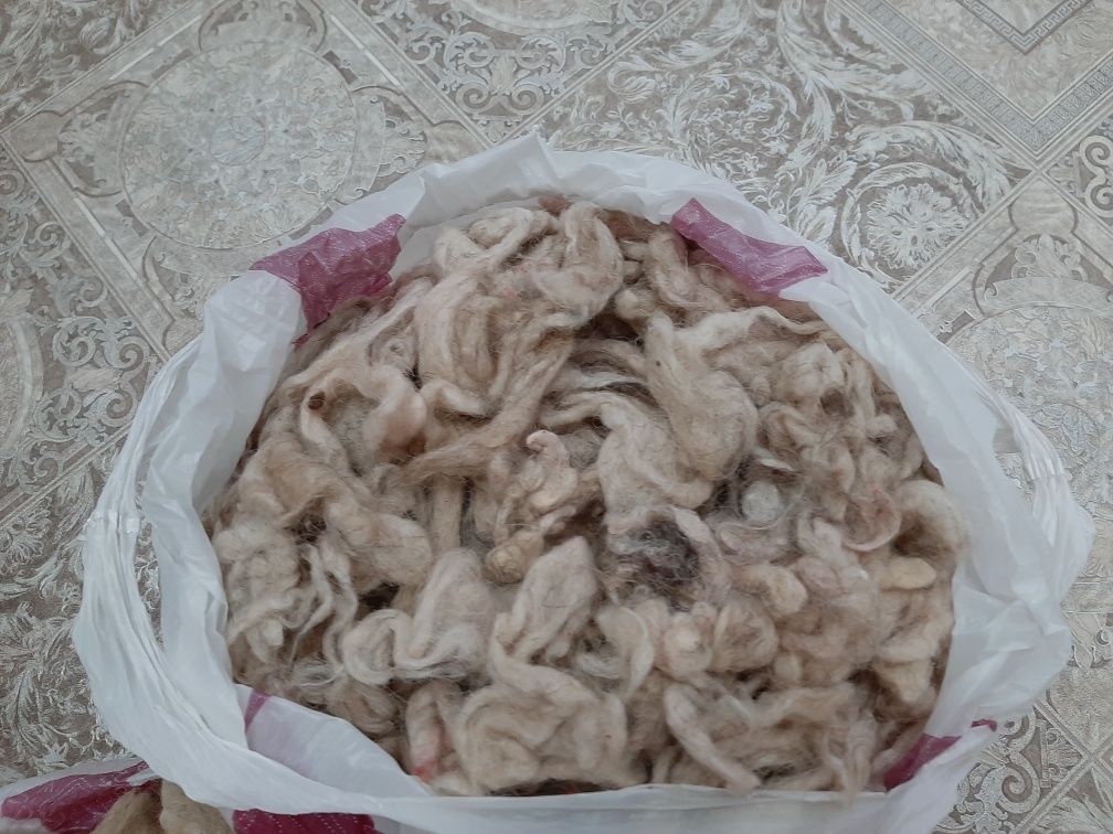 Вата (мақта), овечья шерсть (қойдын жүні)